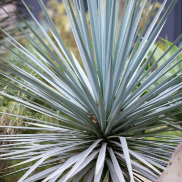 Free for visitors with reduced mobility