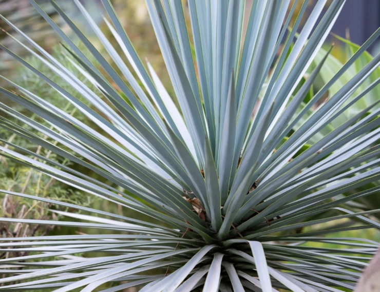 Free for visitors with reduced mobility