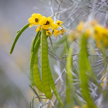 Free for children (ages 0-12)