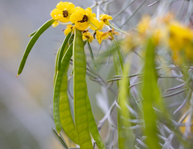 Free for children (ages 0-12)