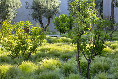 Jardin Islamique