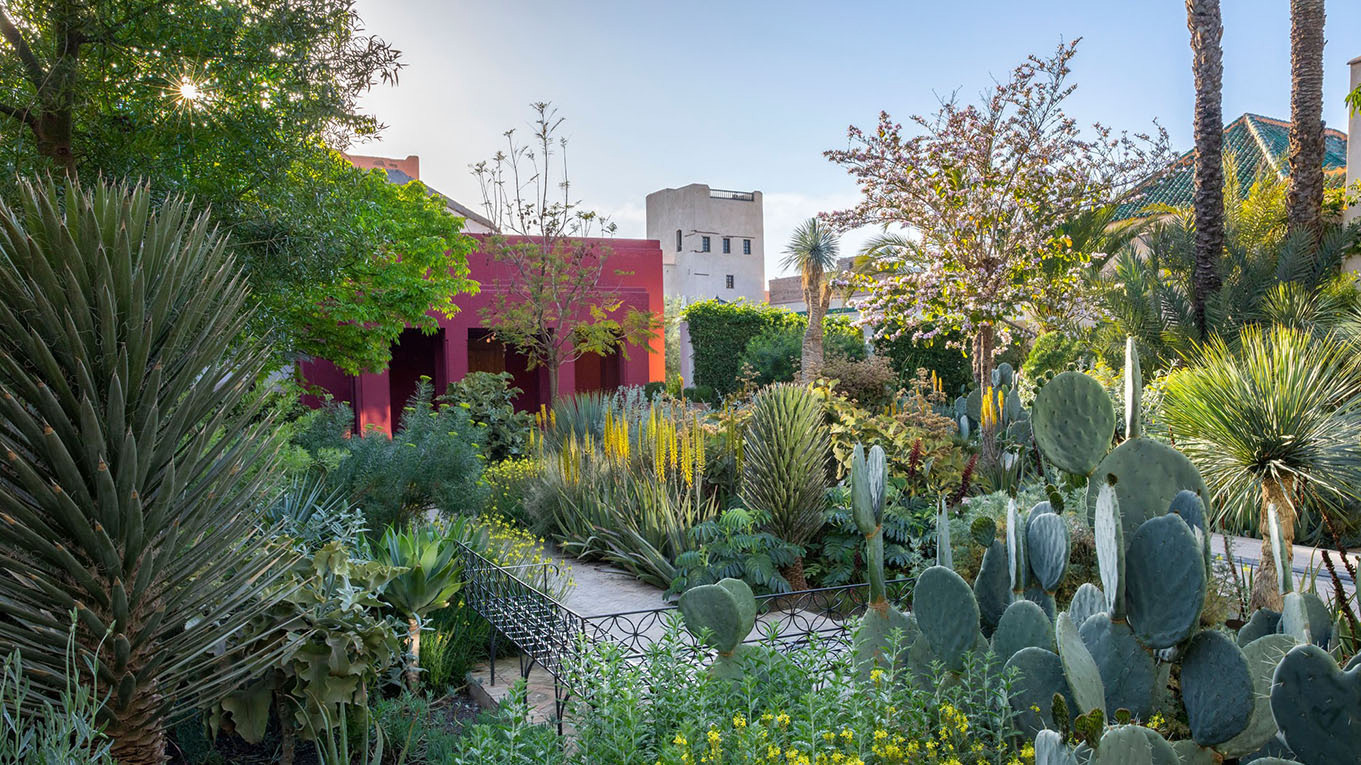 Le Jardin Secret Marrakech - Accueil